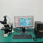 奥林巴斯生物显微镜olympus BX51 无荧光